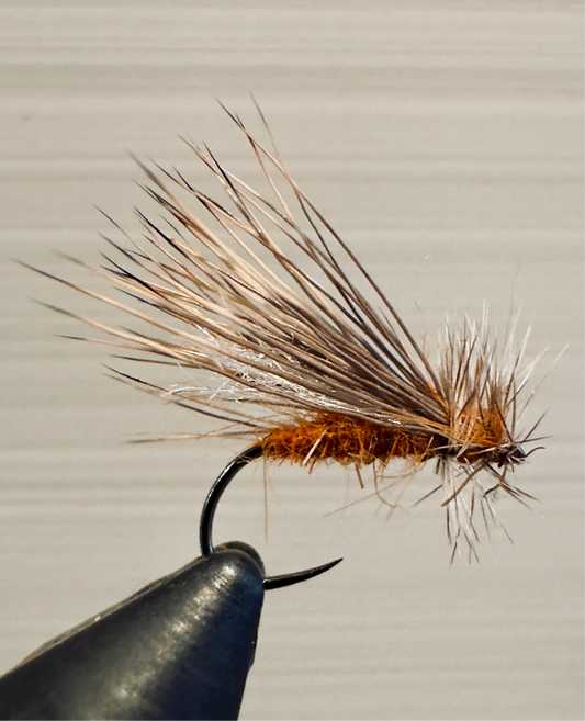 October Caddis