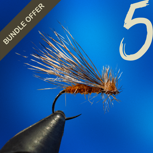 October Caddis 5-Pack